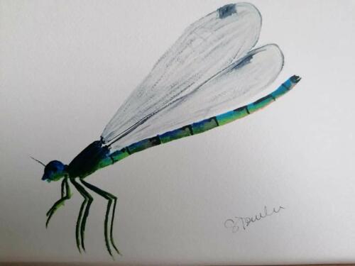 Dragonfly